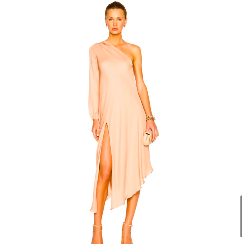 Michelle Mason One Sleeve Silk Dress